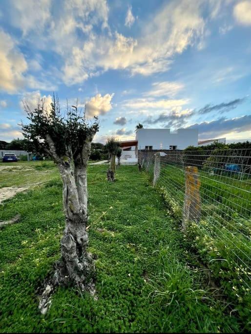 Villetta Vicino Al Mare Con Veranda Calasetta Exterior photo